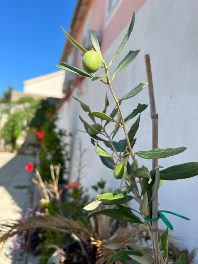 Apartment Silvana II Šibenik Eksteriør billede